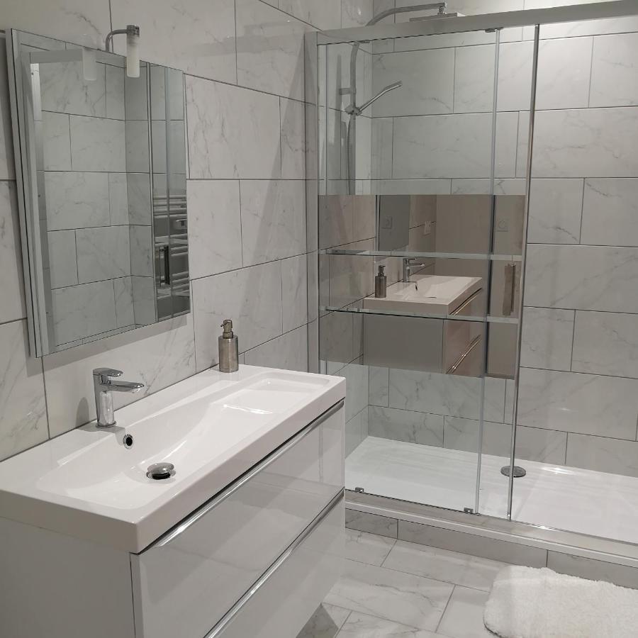 Suite Familiale Saint-Exupery-Spacieux-Hypercentre-Wifi-Velo カステルノーダリ エクステリア 写真