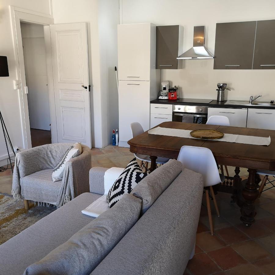 Suite Familiale Saint-Exupery-Spacieux-Hypercentre-Wifi-Velo カステルノーダリ エクステリア 写真